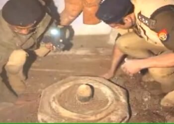 46 साल तक दरवाजों के अंदर बंद रहे भगवान, ताले खुले तो उड़े होश! जानें संभल का सच