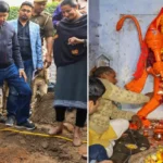 दिल्ली-एनसीआर में वायु प्रदूषण से हालात खतरनाक, GRAP-IV लागू
