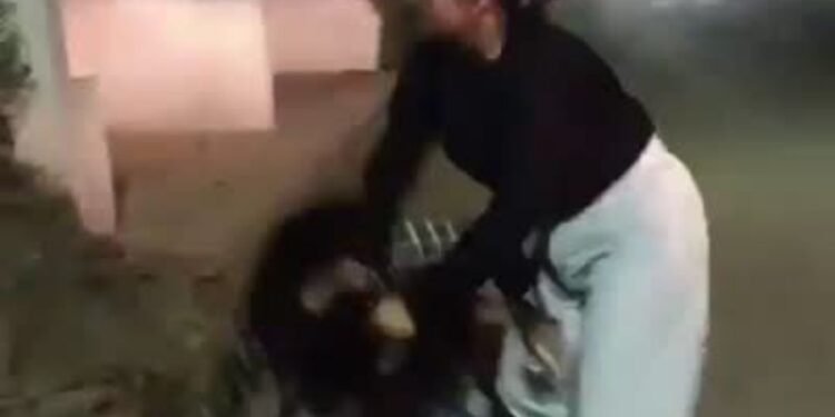 एक लड़के के लिए दो सहेलियों में हुआ झगड़ा, वीडियो वायरल